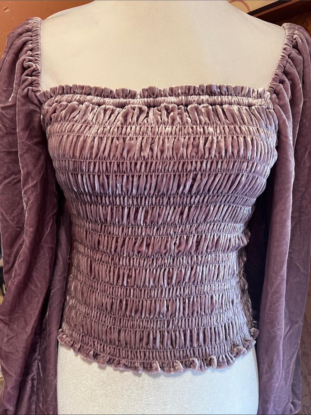 New*Anthropologie Smocked Velvet Balloon Sleeve Top